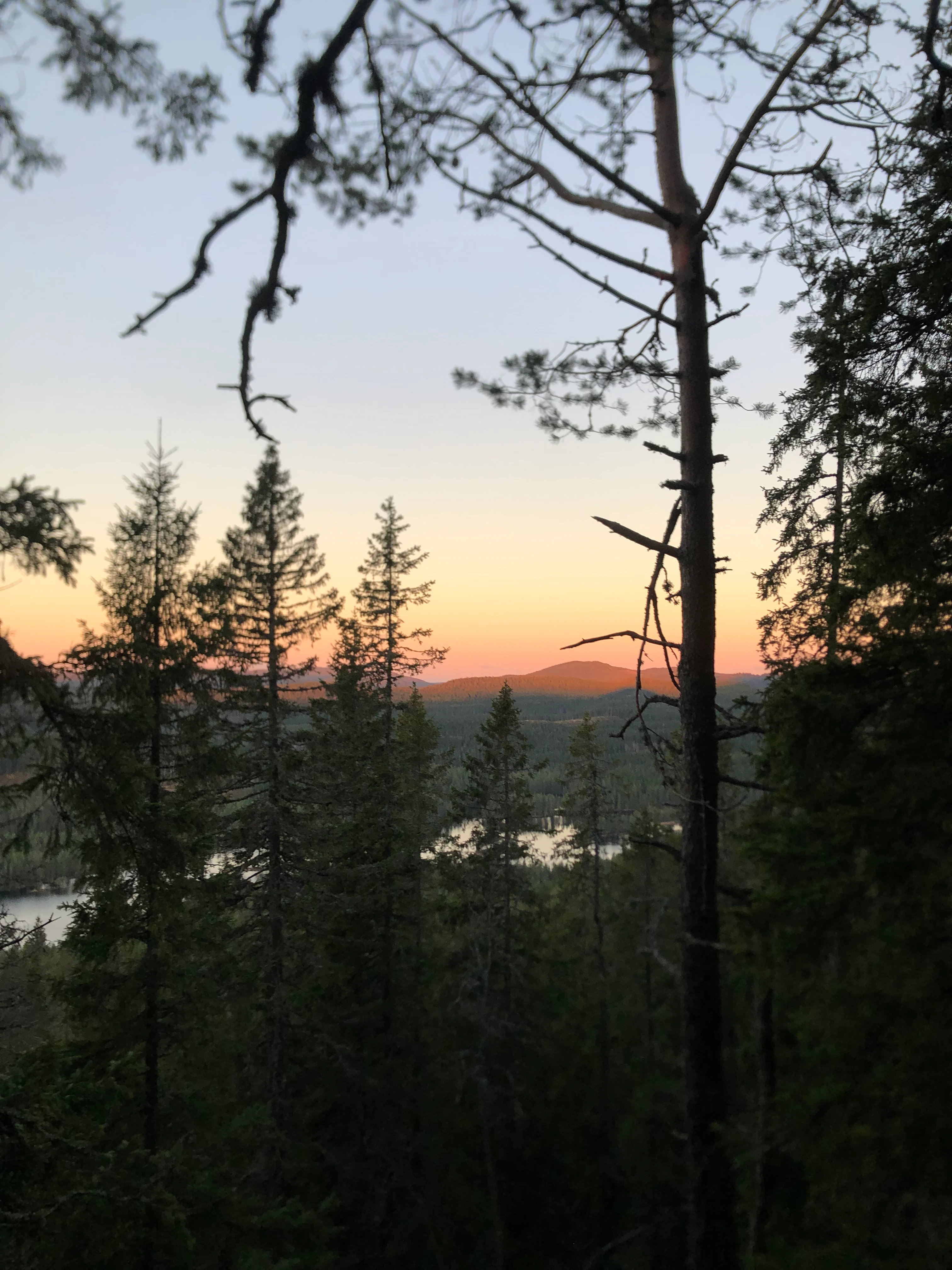 Hallå, åssen går det?